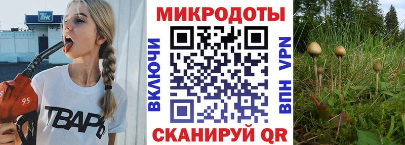 Псилоцибиновые грибы Psilocybe Таганрог